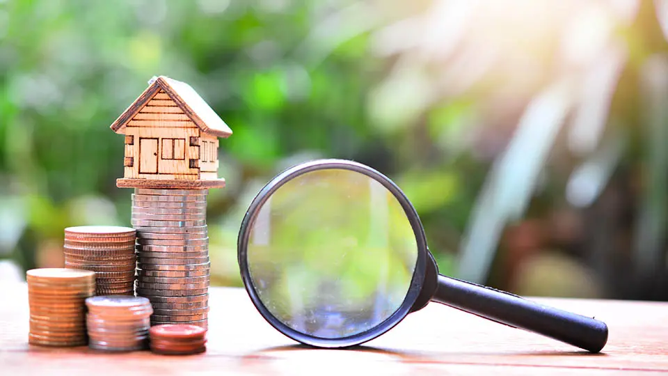 Imagem de lupa ao lado de pilha de moedas. Foto: Adobe Stock