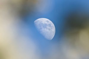 lua