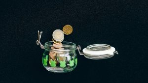 Entre as alternativas mais usadas para renda fixa, estão títulos públicos, papéis de crédito privado, fundos imobiliários, fundos de infraestrutura e ações pagadoras de dividendos. Foto: Pexels